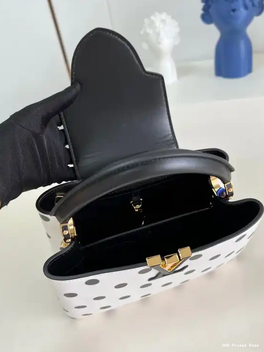 AAA Pruses Bags CAPUCINES LOUIS BB VUITTON 0629